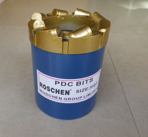 Pezzi di carotiere del diamante PCD/di PDC per il carotaggio di api e geotecnico dell'olio del pozzo di gas del diamante